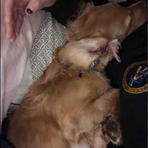 Meet your Posher, Brooklyn